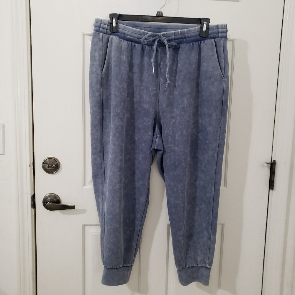 Torrid size 2